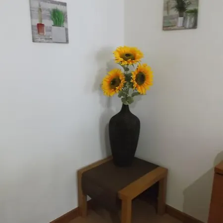 Casa Carina Appartamento *